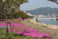 大津湖岸なぎさ公園の写真・動画_image_181231