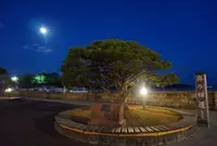 松島海岸駅の写真・動画_image_208028