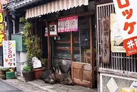 井筒亀の写真・動画_image_209287