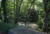 等々力渓谷の写真・動画_image_209443