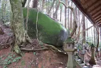 石野宮神社の写真・動画_image_251963