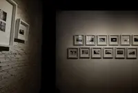 インク ＆ ライオンの写真・動画_image_275963