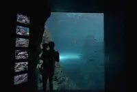 上越市立水族博物館 うみがたり（旧：上越市立水族博物館）の写真・動画_image_343402