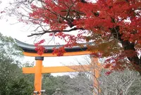 宇佐神宮の写真・動画_image_405200