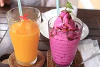 Pani Paniの写真・動画_image_405233