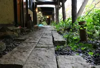 ホタルと絶景の宿 つれづれの写真・動画_image_407225