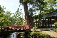 諏訪神社の写真・動画_image_407700