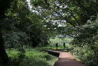 小網代の森の写真・動画_image_453756