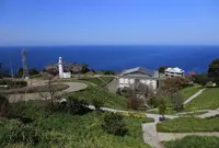 越前岬水仙ランドの写真・動画_image_455356