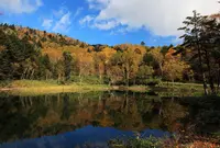 万座温泉牛池の写真・動画_image_461914