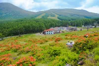 湯ノ丸高原の写真・動画_image_462919