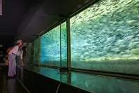イヨボヤ会館の写真・動画_image_468392