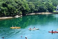 Kiaora Paddle(キオラパドル)の写真・動画_image_504220