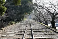 蹴上インクラインの写真・動画_image_511727