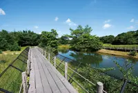 高鍋湿原の写真・動画_image_523402