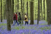 Porte de Halの写真・動画_image_538907