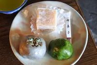 稲豊園の写真・動画_image_549183