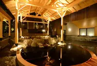 綱島源泉 湯けむりの庄の写真・動画_image_619503