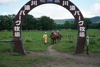 川湯パーク牧場の写真・動画_image_625351