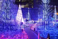 カレッタ汐留の写真・動画_image_687452