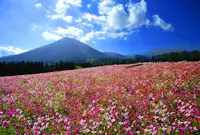 生駒高原の写真・動画_image_720825
