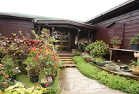 カフェくるくまの写真・動画_image_881044