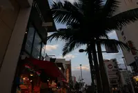 国際通りの写真・動画_image_881722
