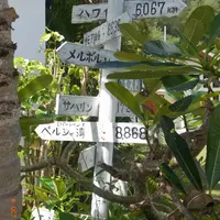 ウエストの写真・動画_image_71102
