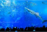 沖縄美ら海水族館