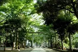 大國魂神社
