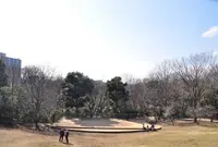 都筑中央公園の写真・動画_image_23771