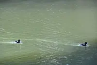 都筑中央公園の写真・動画_image_23772