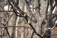 大原みねみち公園の写真・動画_image_23842