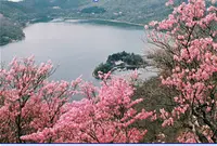 大沼の写真・動画_image_31023