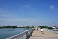 多摩湖の写真・動画_image_62446