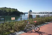 多摩湖の写真・動画_image_62450