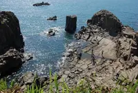 東尋坊の写真・動画_image_123626