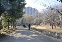 大原みねみち公園の写真・動画_image_129641