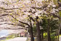 聖路加ガーデンの写真・動画_image_132575