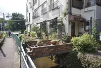 カフェ ポテリ（cafe PoTeRi ）の写真・動画_image_166332