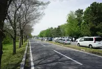 秋ケ瀬公園の写真・動画_image_167426
