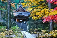 光前寺の写真・動画_image_278358