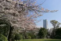 横浜市野毛山公園の写真・動画_image_307733
