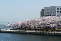 カップヌードルミュージアム 横浜の写真・動画_image_307736