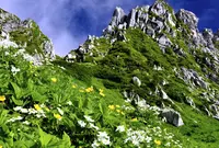 駒ケ岳の写真・動画_image_342492