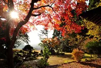 興聖寺の写真・動画_image_444170