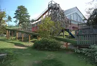 グリーンパーク想い出の森の写真・動画_image_444194