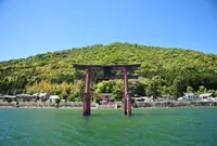 白鬚神社の写真・動画_image_444196