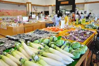 道の駅 藤樹の里あどがわの写真・動画_image_444203