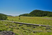 池の平湿原の写真・動画_image_462963